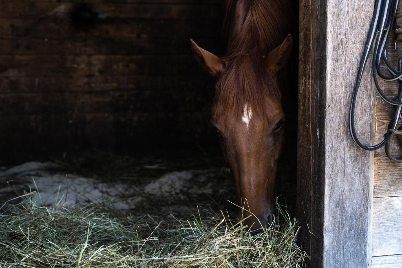 Horse Farm Holiday Pr' Kolenc Zgornje Gorje ภายนอก รูปภาพ